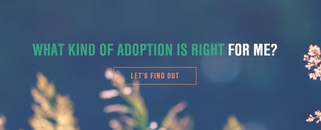 Adoption Facts With Gladney Center for Adoption