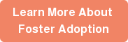 Learn More About Foster Adoption